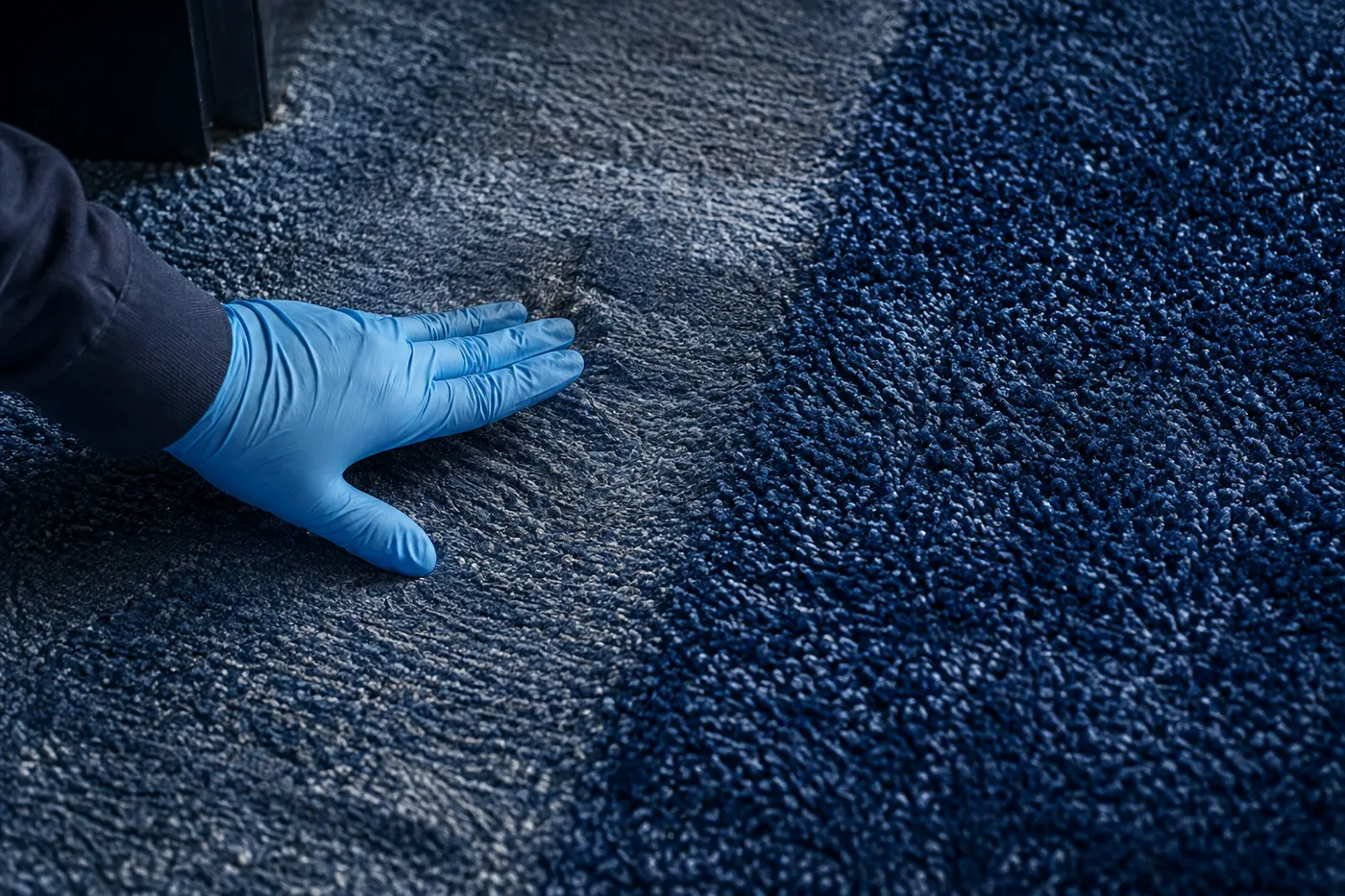 Illustration de l’examen d’une moquette usée dans une zone de passage