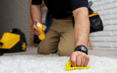 Comment nettoyer efficacement une moquette très encrassée ?